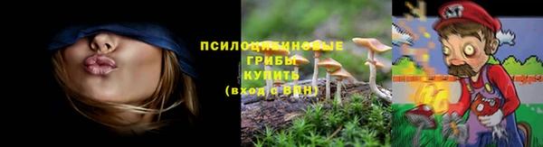 трава Надым