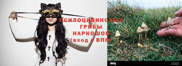 трава Надым